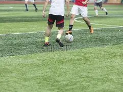 幸运彩民必,期双色球预,独家杀红绝,大发彩票,大发快三彩票官网,dafa大发彩票官网,大发彩票官网玩家首选