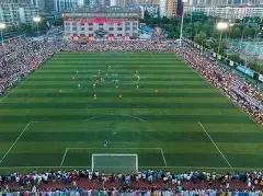 独家揭秘,大乐透,期必中秘籍,大发彩票,大发快三彩票官网,dafa大发彩票官网,大发彩票官网玩家首选