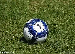 独家揭秘,大乐透,期必中秘籍,大发彩票,大发快三彩票官网,dafa大发彩票官网,大发彩票官网玩家首选