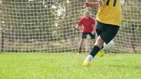 2025篮球风云录：中国女篮璀璨夺目，辽宁男篮荣耀加冕