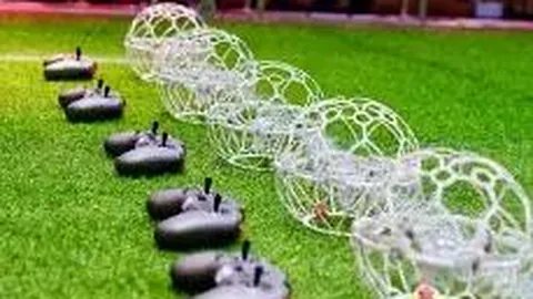 冰雪运动学院举办体育学院冰雪运动专业培养方案解析会